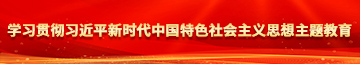 大几巴操逼视频学习贯彻习近平新时代中国特色社会主义思想主题教育